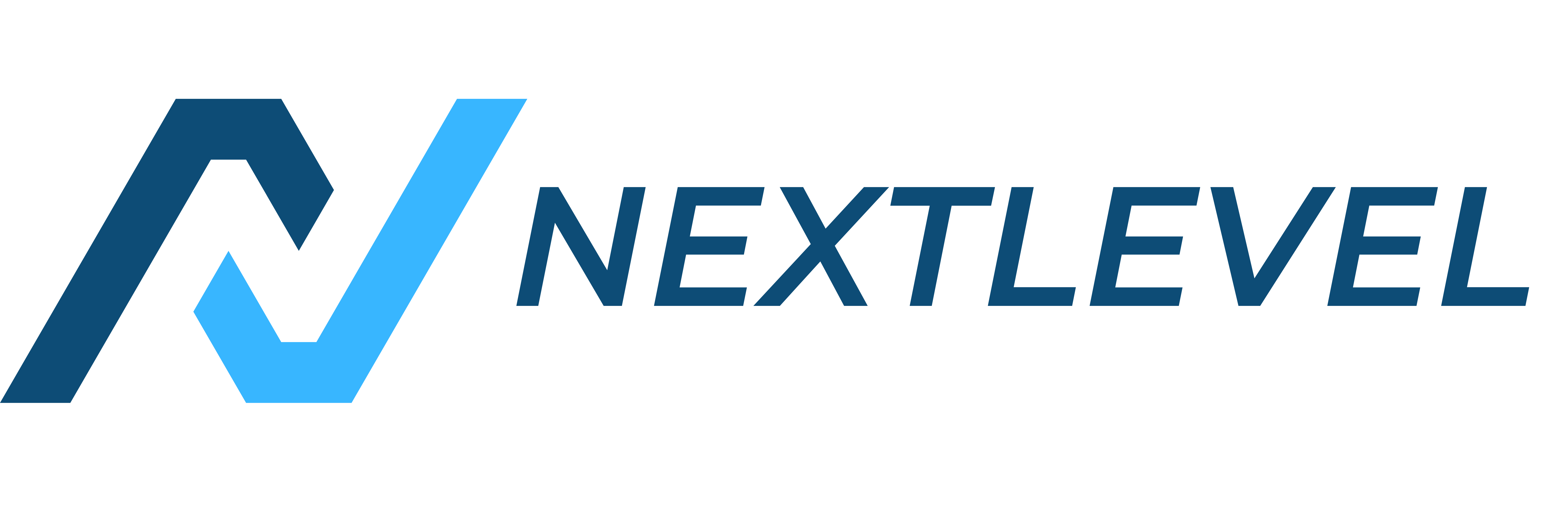 Next Level Logo